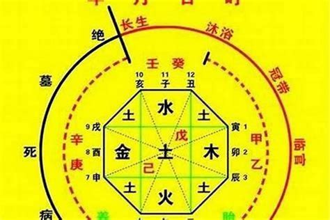 喜用神怎麼看|【命理】八字命理中怎樣取「用神」？ 